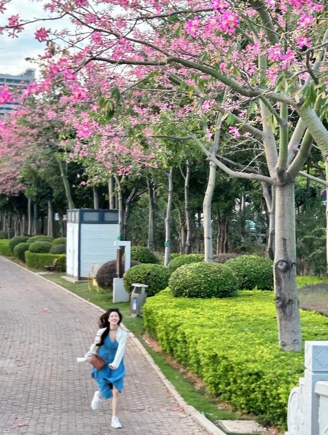 必去玩的景点及线路攻略北京超详细攻略pg电子首页暑假带孩子第一次去北京(图4)