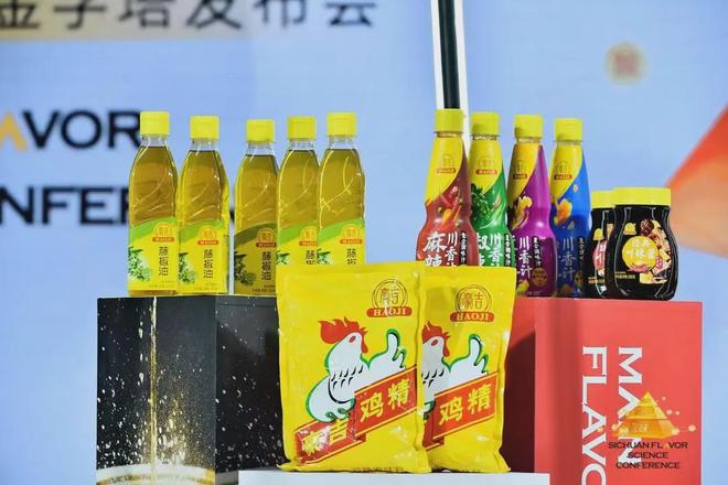 大调味品品牌豪吉迎来新帅电子pg游戏雀巢旗下第二(图4) 大调味品品牌豪吉迎来新帅电子pg游戏雀巢旗下第二(图4)